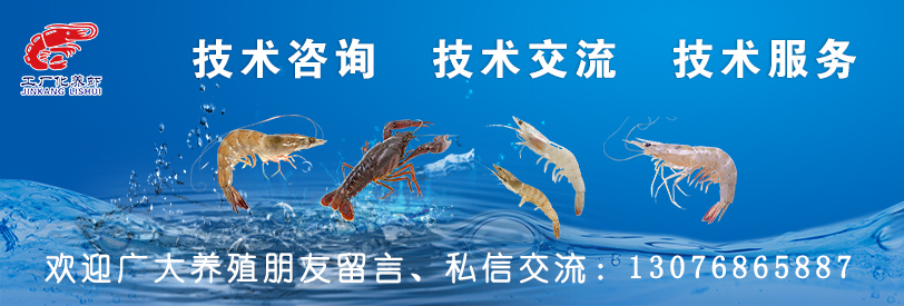 养殖户容易犯什么病,对虾养殖白便分析与处理