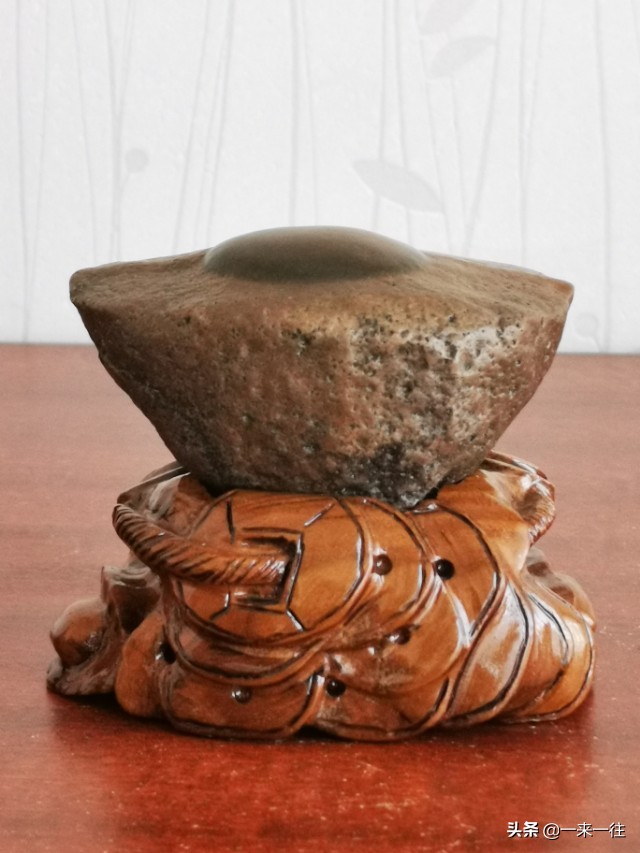 我对自然的认知,我对自然之书的理解