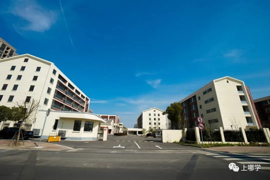 上海2020新增学位,上海各大学2024新增学位点