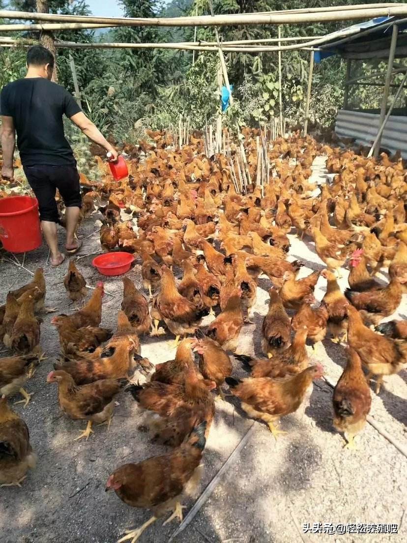 鸡眼睛肿，脸肿是什么病？如何治疗