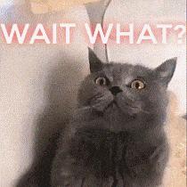 菲尔普斯克服紧张,一上台特别特别紧张怎么缓解