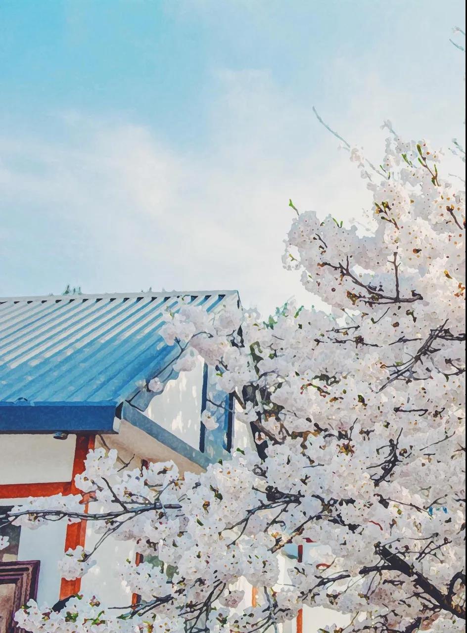 三亚和厦门哪个更值得去玩,三亚和厦门哪个更值得去游玩