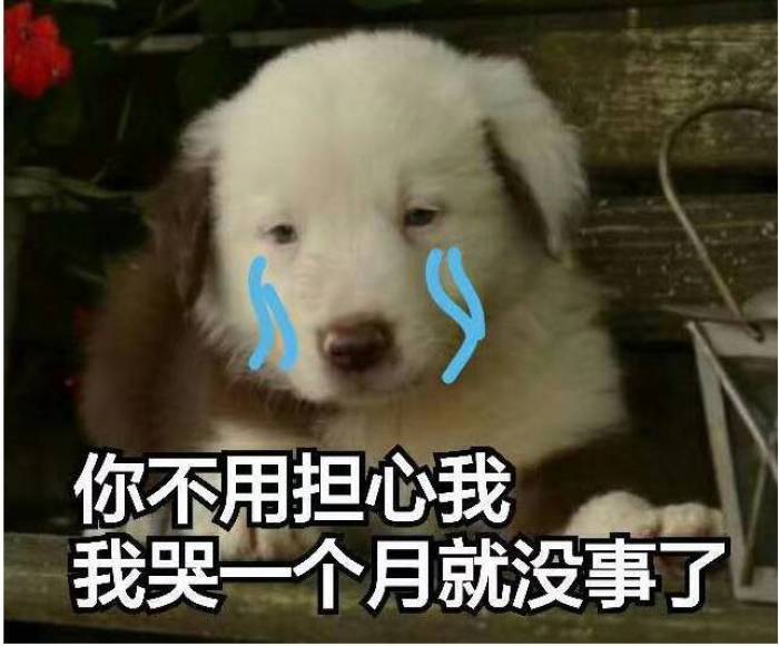 两个月狗狗眼屎多用什么药,狗狗眼屎多什么原因导致的