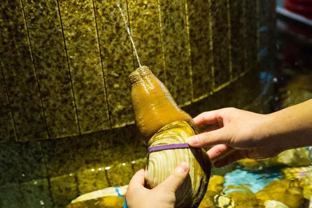 便宜平价美味海鲜,平价海鲜上海