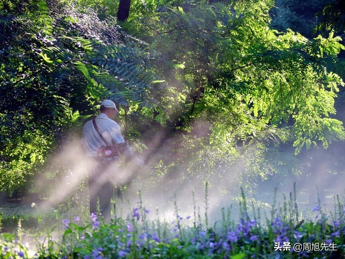 盛京3天深度自驾游好去处推荐,盛京游记