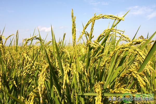 姘寸ɑ甯歌鐥呰櫕瀹冲強闃叉不,姘寸ɑ甯歌鐥呰櫕瀹冲強闃叉不鏂规硶