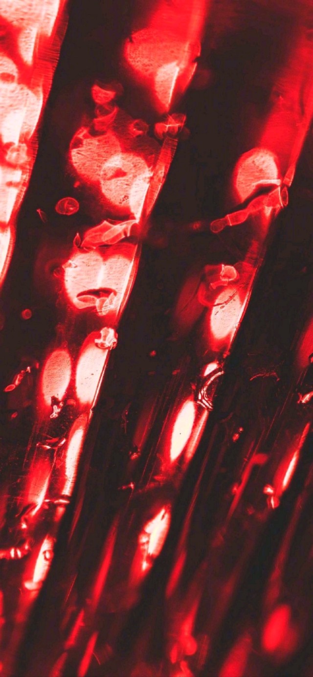 心理治疗师入门书籍哪个好,心理创伤急救培训视频