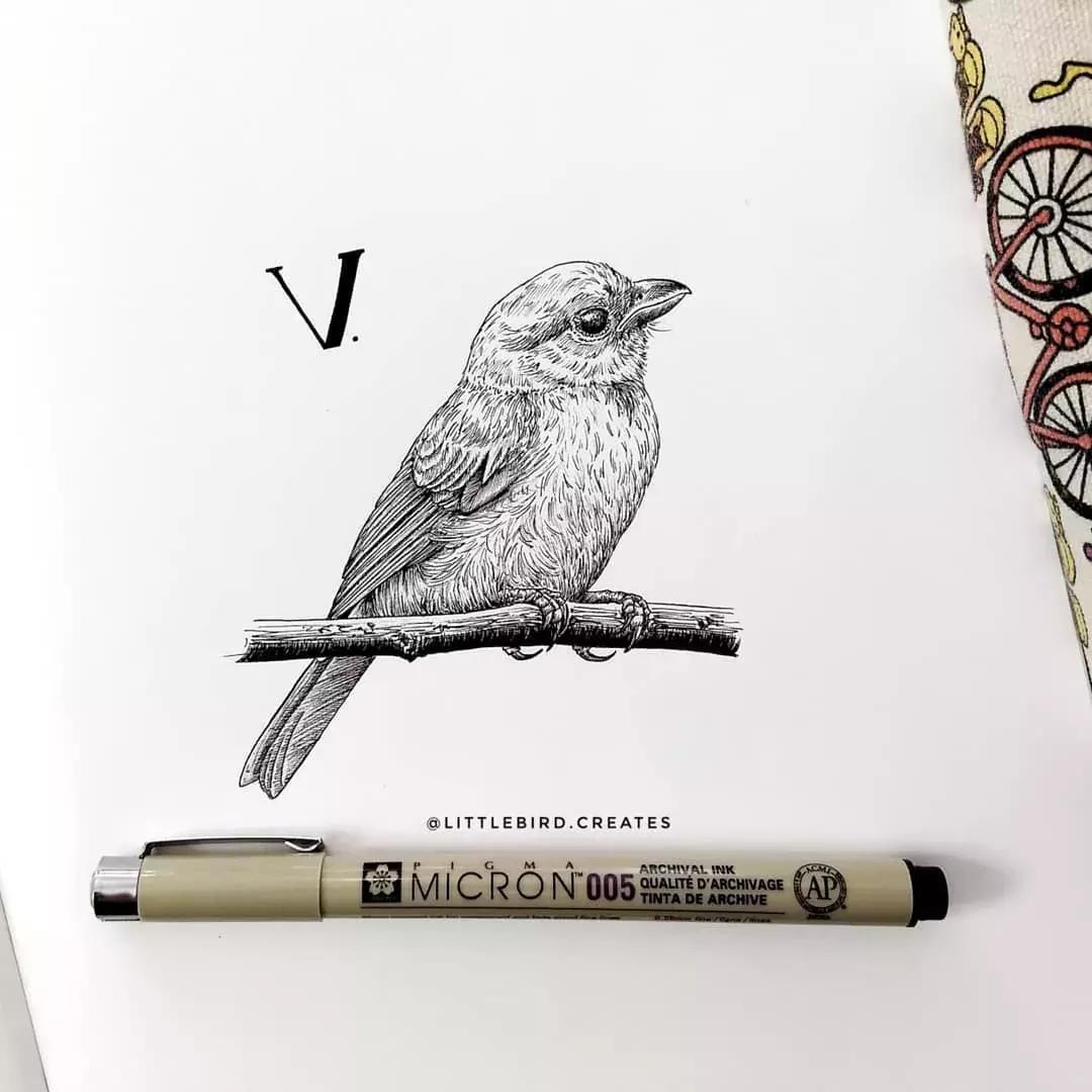 这一波手绘太给力了,绝对让你练完不厉害都难