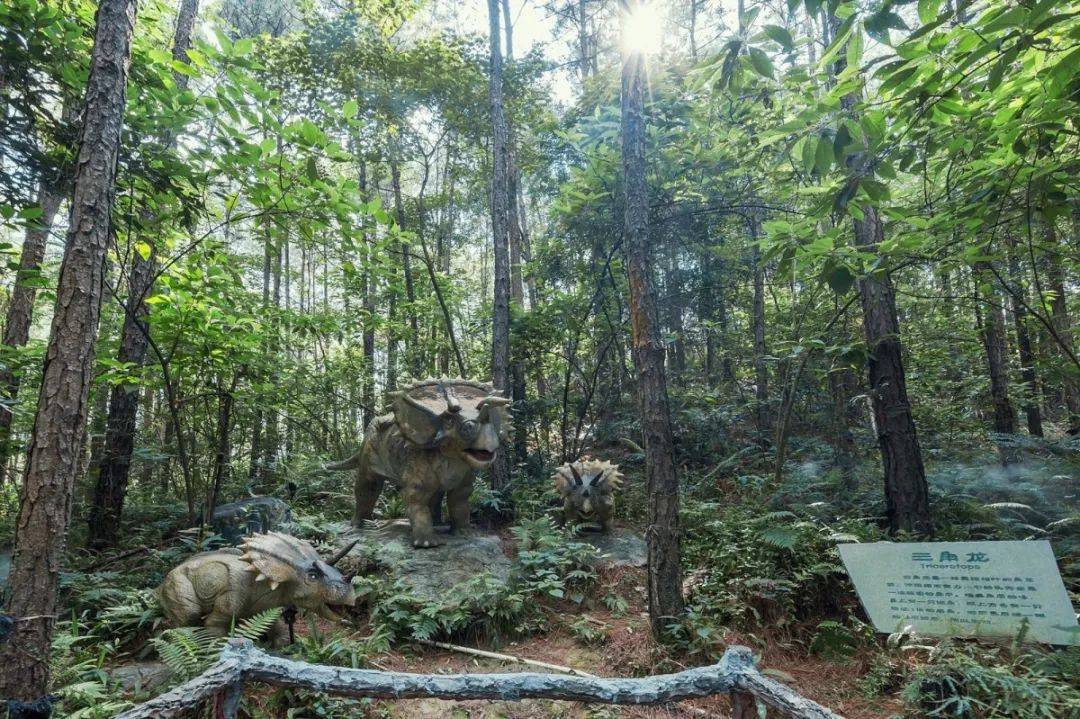 清远森波拉温泉晚餐,清远森波拉温泉度假村酒店报价