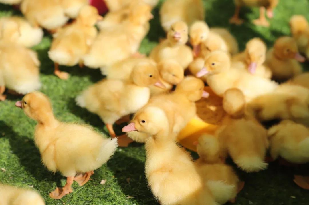 昆明亲子游户外旅行地,昆明周边户外游玩景点推荐带孩子