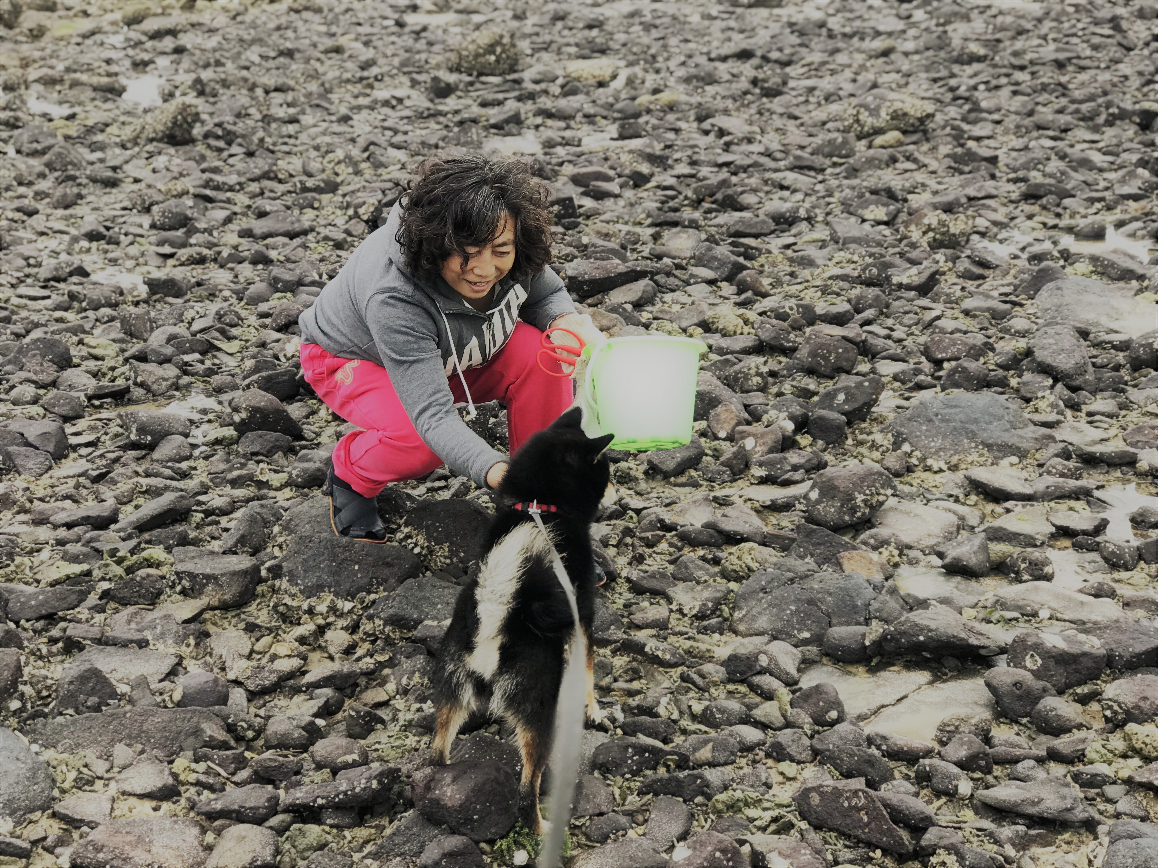 再说房车人是咋算账的；1212房车旅行车的事很担心；赶海