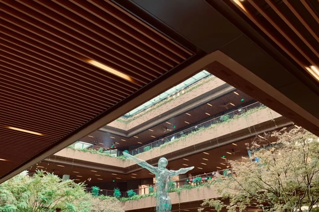 11月份日记大全,扫街日记11月