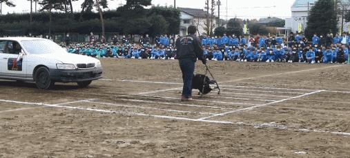 安全教育课伤人,一场家庭安全教育学习