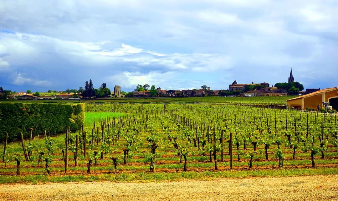 喝红酒为什么那么难,喝红酒为什么不倒满