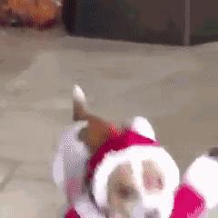 “哎……我怎么有点晕啊?”哈哈哈哈哈让人笑岔气的45个搞笑动图