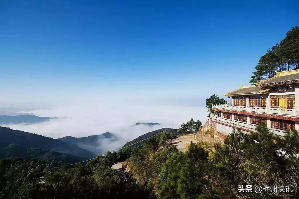 对不起，我要回梅州了！