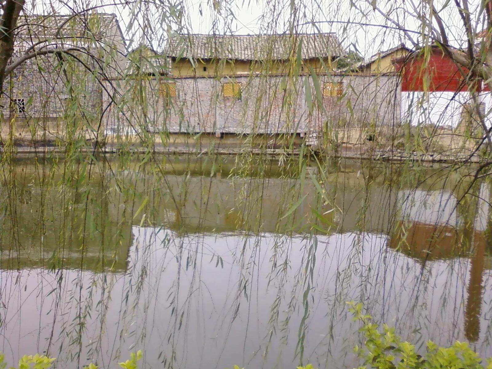 曾经特别火的拍照手机,那些年的拍照手机