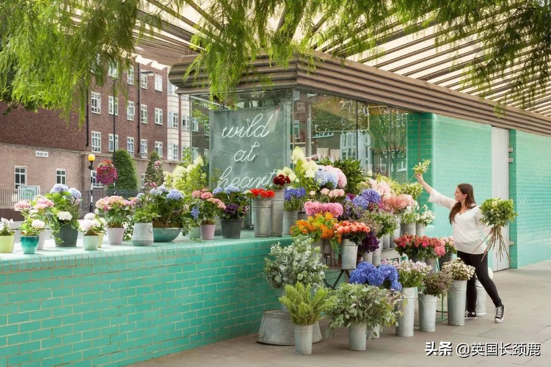 520/521：五月阳光下，伦敦依然盛放。记得常回来看看