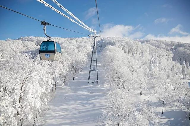 日本旅游攻略保姆级,日本保姆自由行攻略