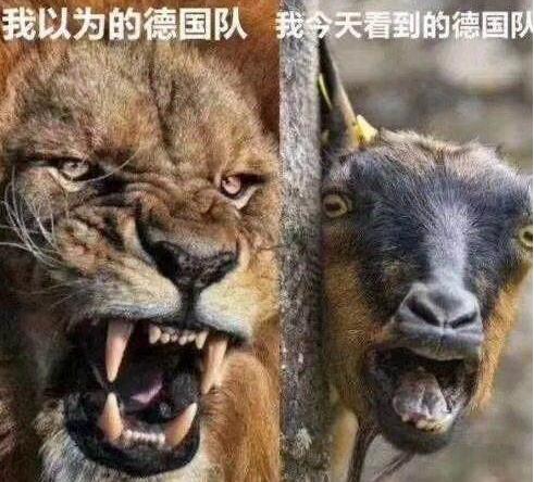 俄罗斯车市启示录（二）：“成也萧何败也萧何”的德国车