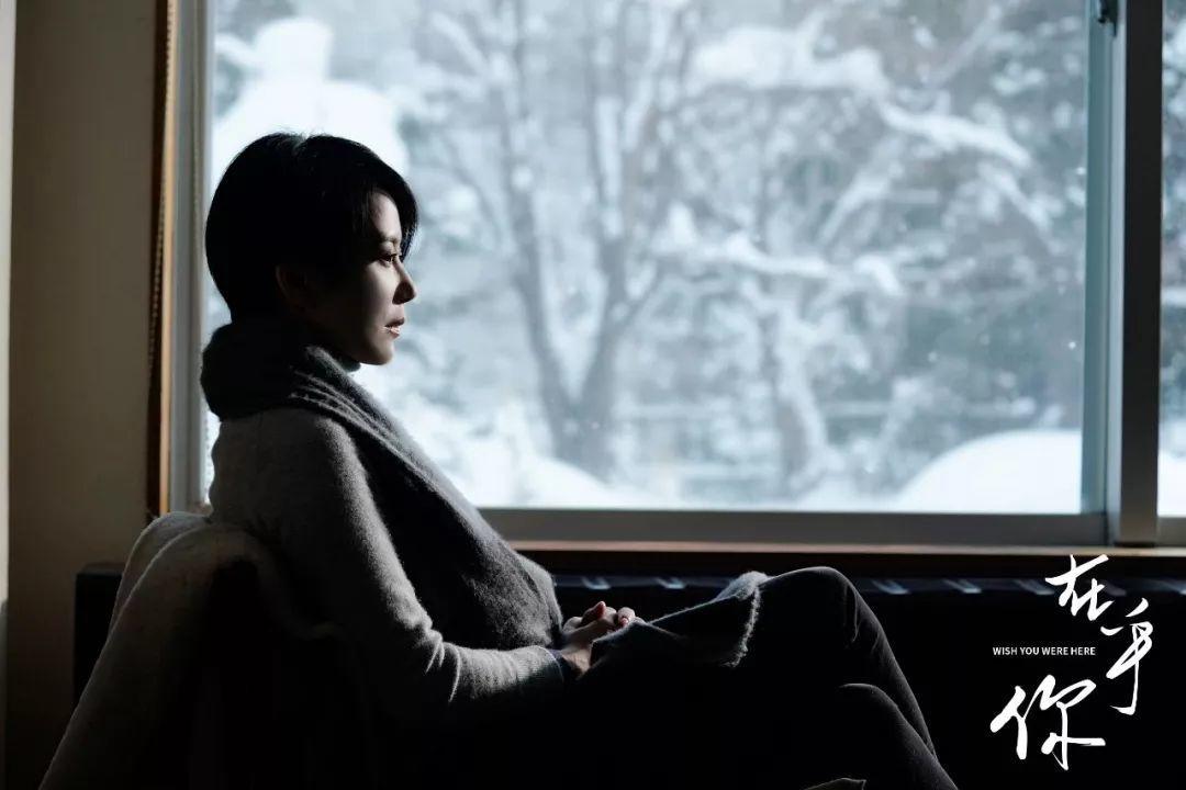 四月爆款推荐,四月爆款