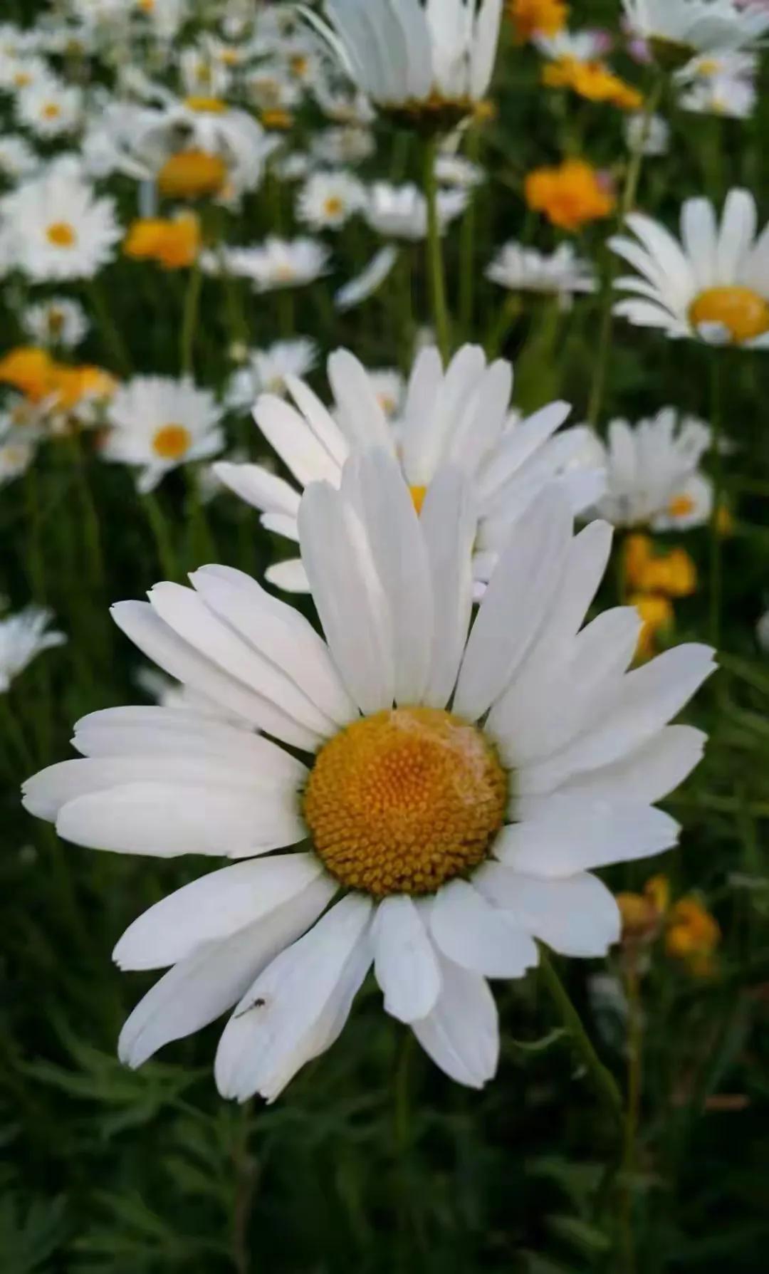 徐州艺术馆有什么,徐州老艺术馆