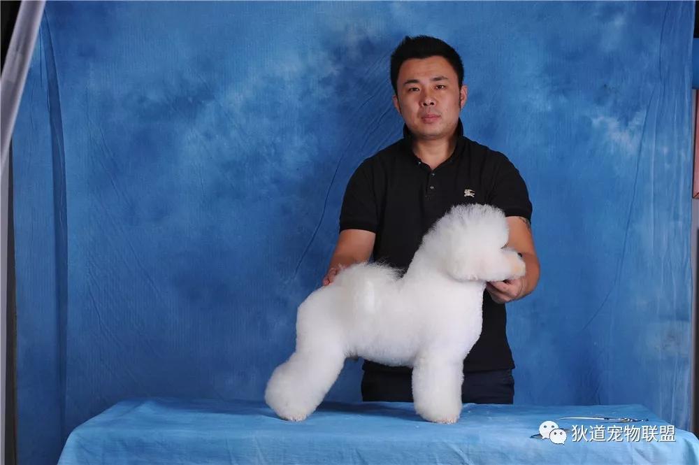 青岛璀璨国际宠物美容培训学校,意宠宠物美容学校