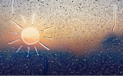 6月26日是国际禁毒日对不对,国际禁毒日我们要行动