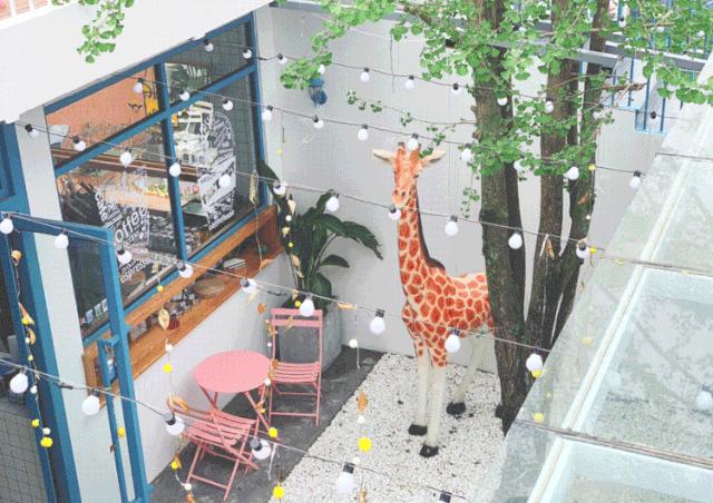 成都周边拍照打卡民宿,成都适合拍照的网红打卡地民宿