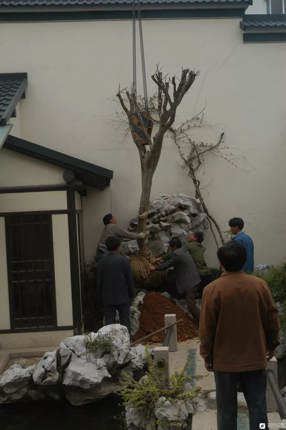 大叔花700万建的花园别墅,太湖石苏州