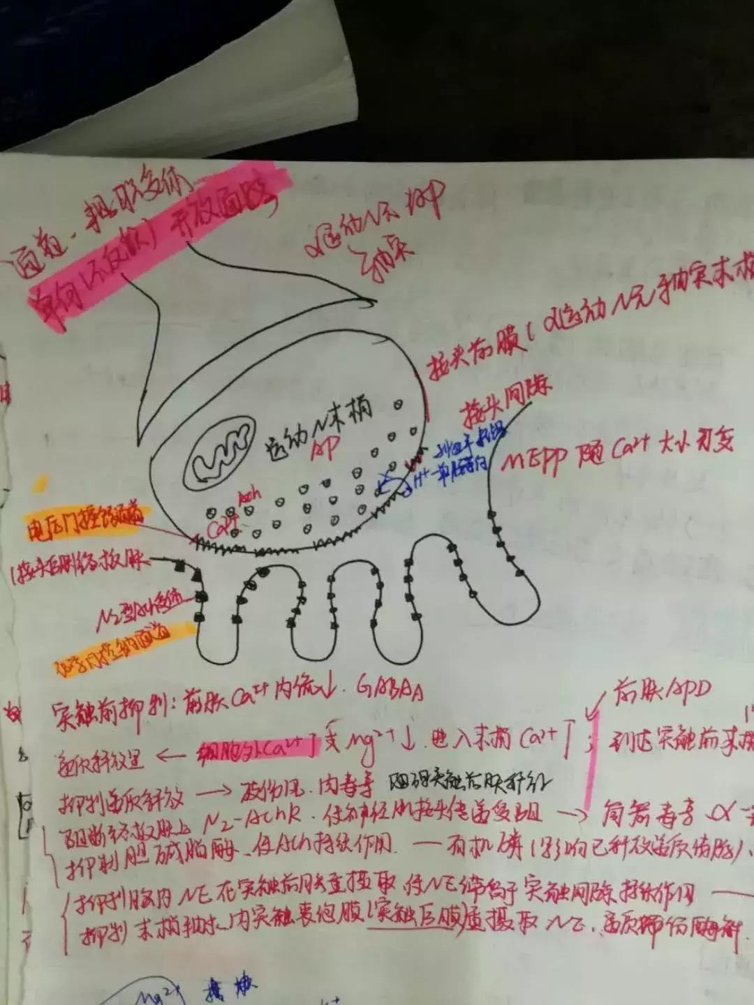 英语一89，西医临床227。二本上岸协和阜外心血管内科学硕