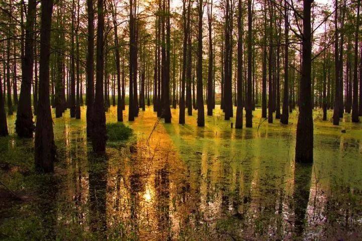 倒数狂欢夜,清远森波拉奇妙世界主题乐园住宿