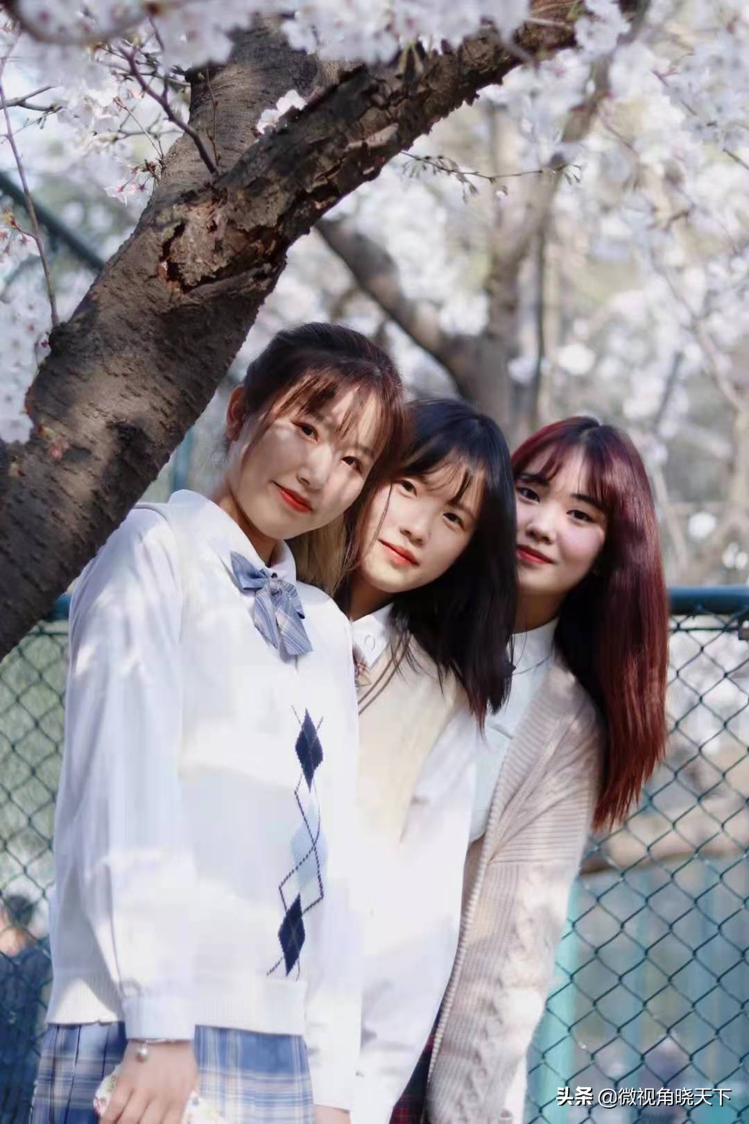 信阳师范学院：回眸但觉烟色浅，不知春意入师院