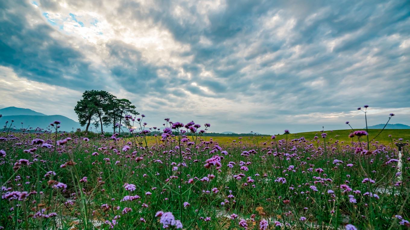 云南腾冲9月旅游攻略,云南腾冲旅游攻略秋天