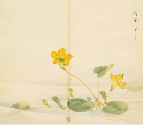 惊艳千年的古诗词合集,五千年来最美的20首诗