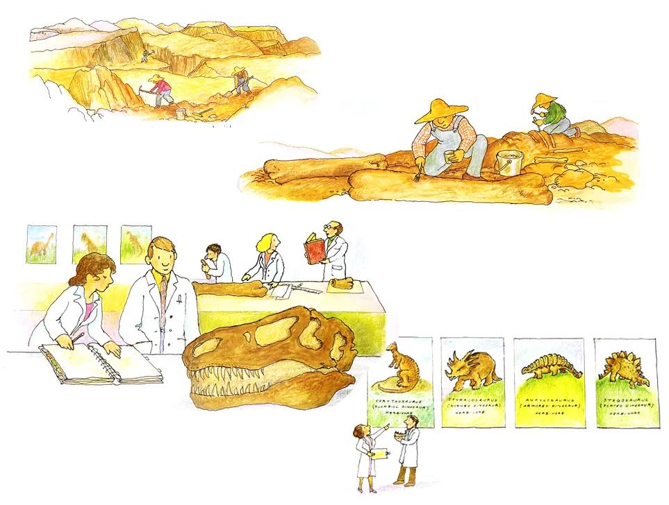 探秘恐龙世界关于恐龙的资料,恐龙世界科普知识