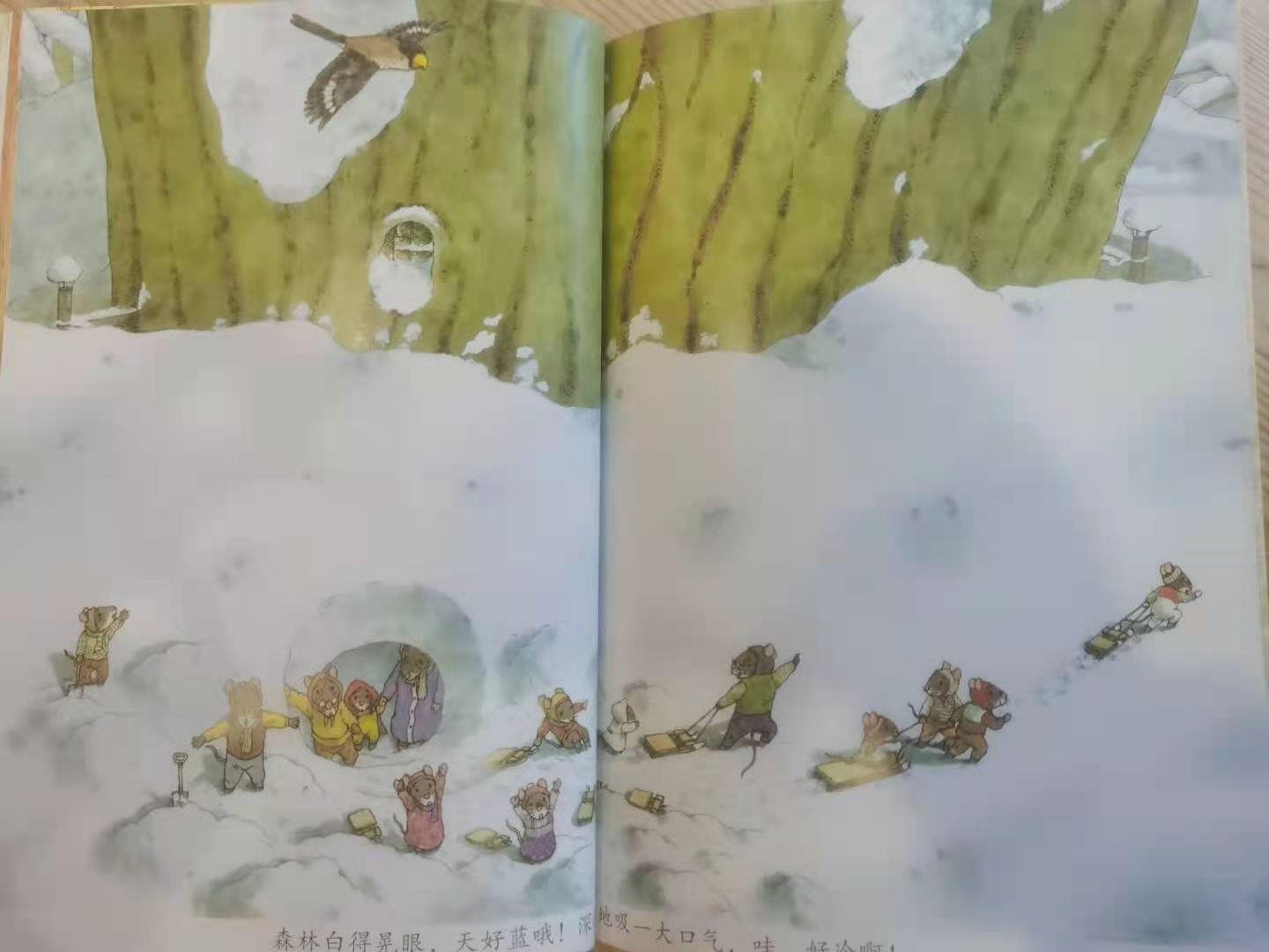 14只小老鼠怎么样,14只小老鼠的故事