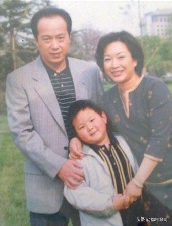 罗京离世的十一年后家人的情况,罗京癌症去世原因