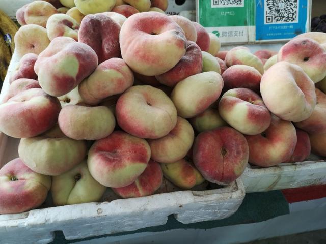 坐客车去新疆的视频,坐大巴到新疆的感受