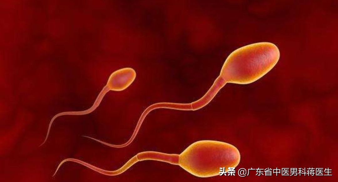 精子带血怎么回事怎么治疗,男性出现血精是怎么一回事