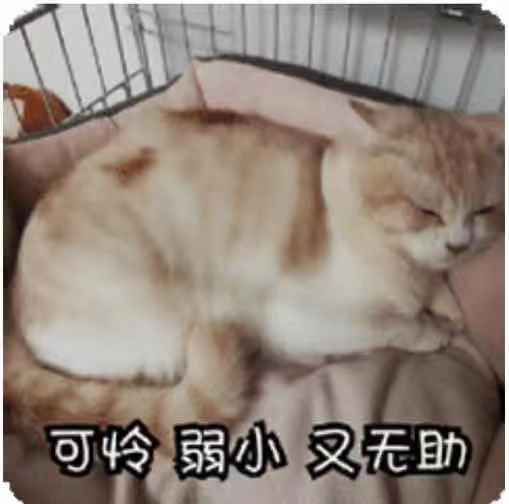 人体最痛的事情,生理上最痛的一次