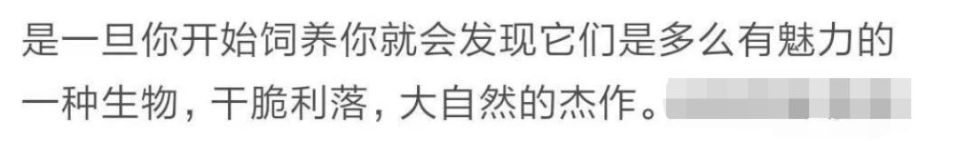 那些年舍友养过的奇葩宠物,你们身边的人都养什么奇怪的宠物