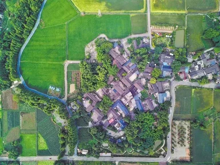 3月底天府绿道哪段最美,天府绿道介绍及特色