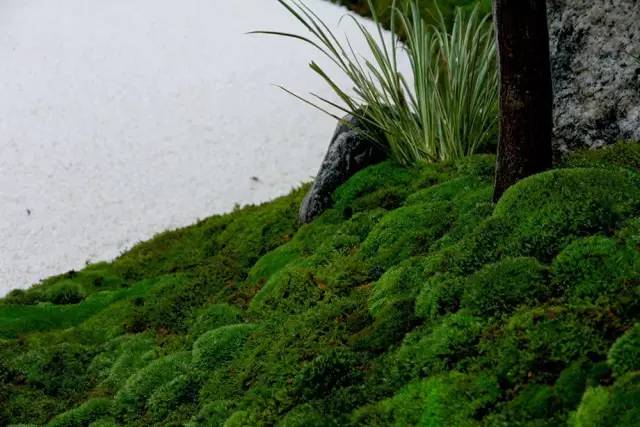 枯山水庭院景观制作过程,庭院枯山水施工做法