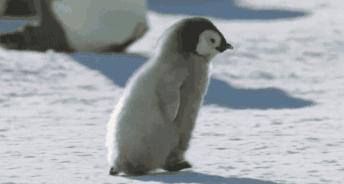 走神发呆最好的方法,走神是因为太聪明了吗