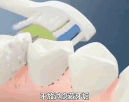 李沁以前采访,李沁被误解的真实故事