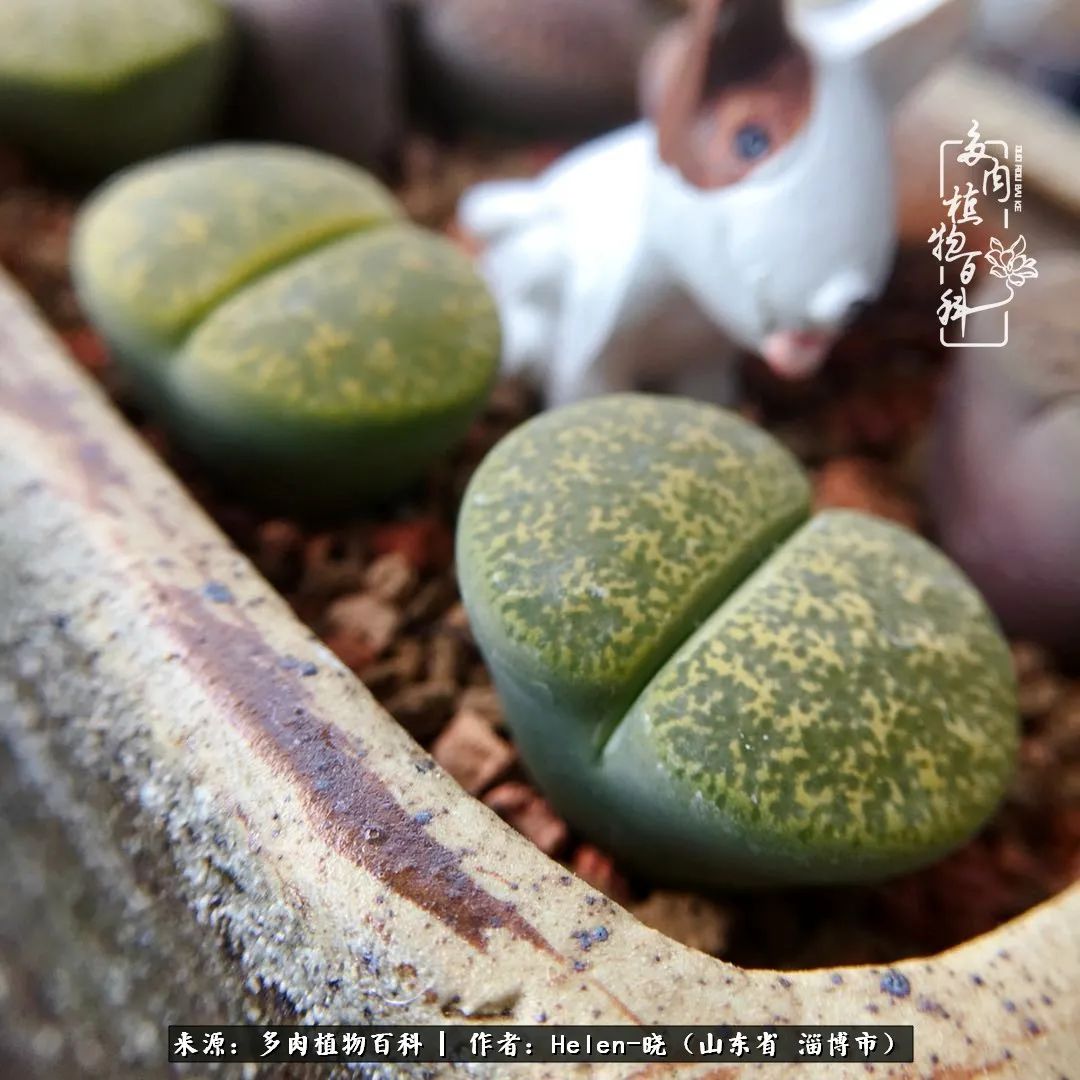 人到中年温暖如初,人到中年岁月静好