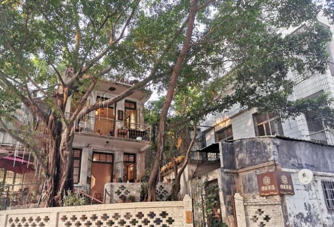 春天的第一杯茶颜悦色奶茶,春天的第一杯竹筒茶