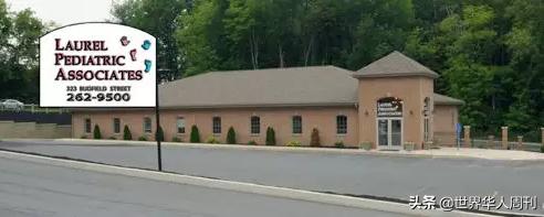 杨安泽妻子被杀,杨安泽妻子事件