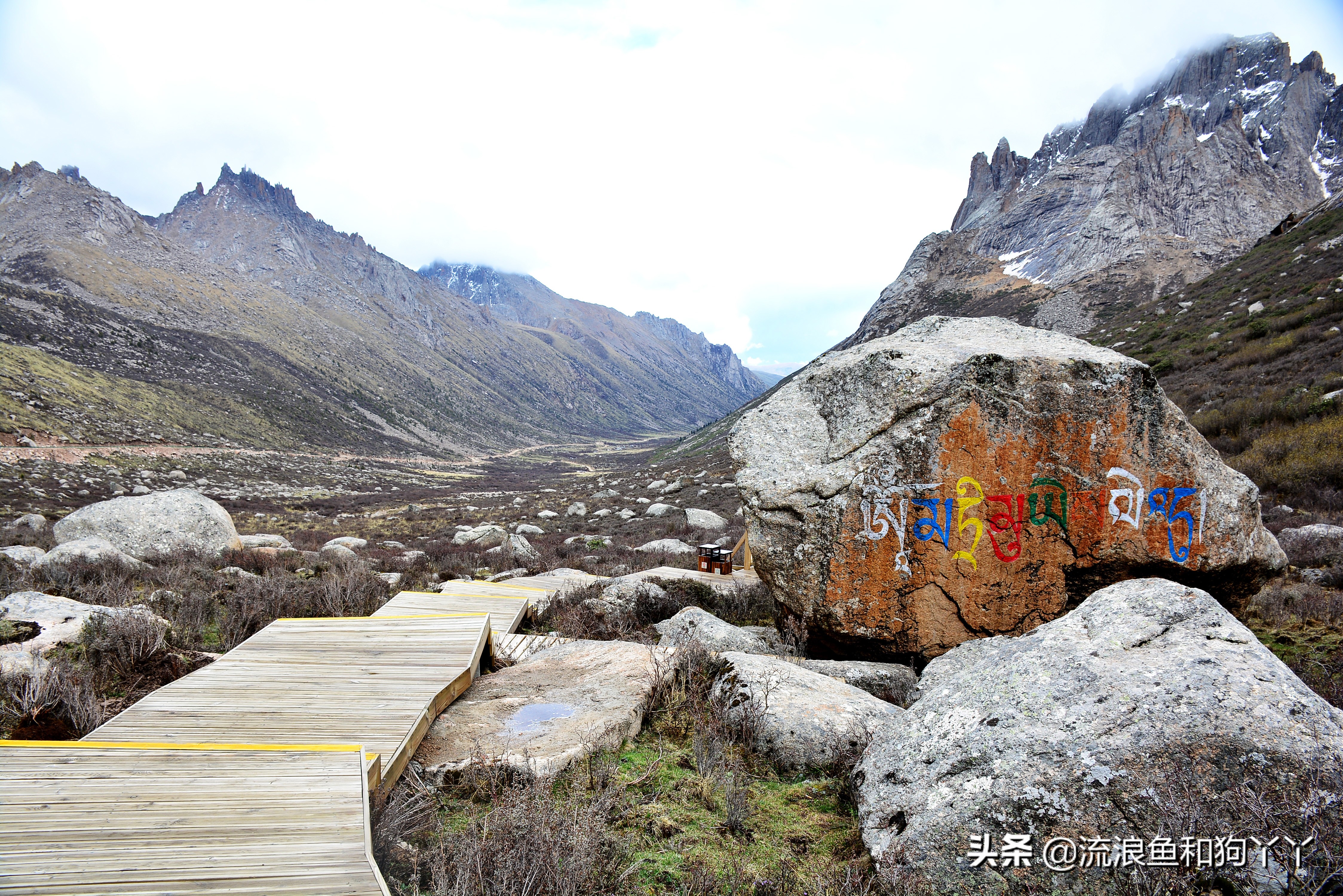 年保玉则现在开放了吗,年保玉则为啥被封